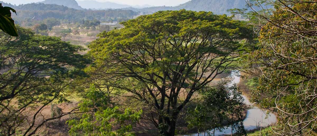 scenery around Chiang Rai Thailand
