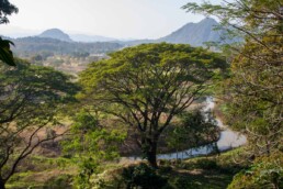 scenery around Chiang Rai Thailand