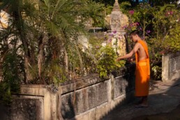 monk is gardening, Chiang Rai, Thailand
