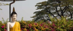 Buddha statue under umbrella