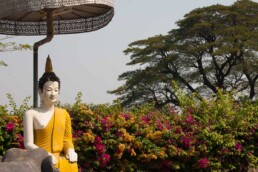 Buddha statue under umbrella