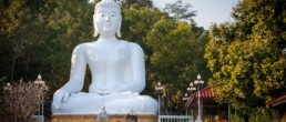 Large white Buddha statue