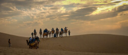 Jaisalmer Desert