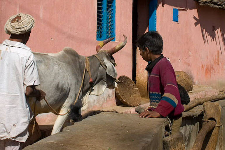Village North of Udaipur