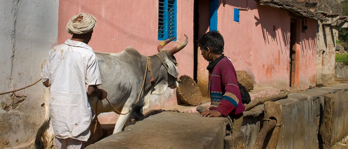 Village North of Udaipur