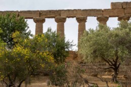 Agrigento zuilen