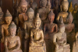 Collection of buddha statues