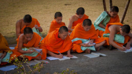 Writing young monks