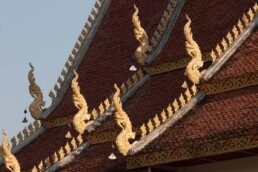 Roof of a temple