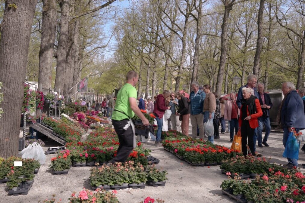 Geraniummarkt 2026